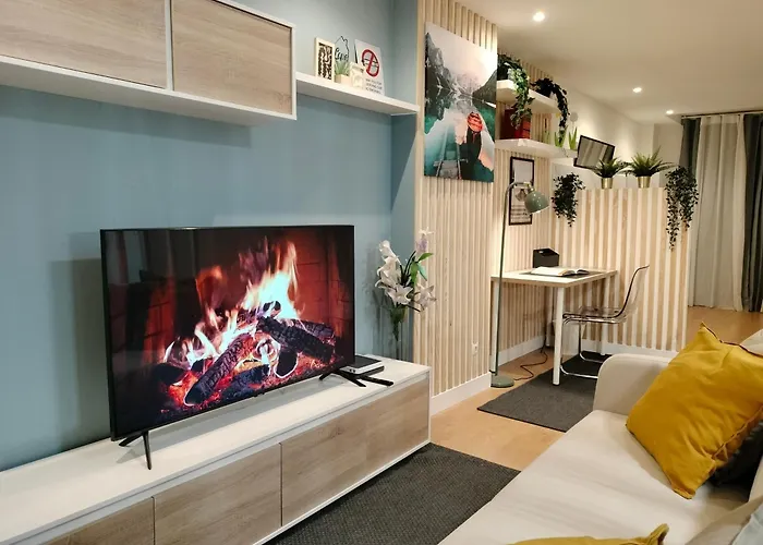 Estudios 55 - - Centrico - Rh Santander